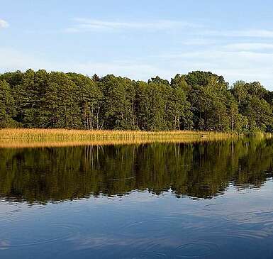 Schorfheide & Chorin
