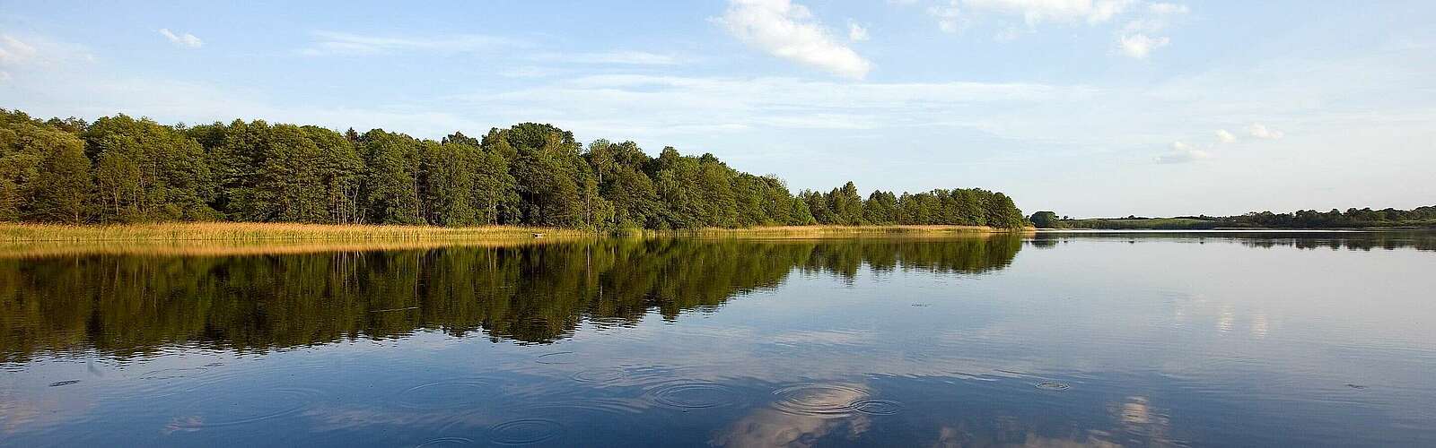 Werbellinsee in der Schorfheide,
            
        
                Foto: TMB Tourismus-Marketing Brandenburg GmbH/Paul Hahn