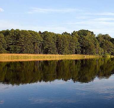 Werbellinsee in der Schorfheide