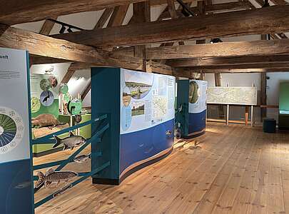 Ausstellung im BUND-Besucherzentrum Burg Lenzen