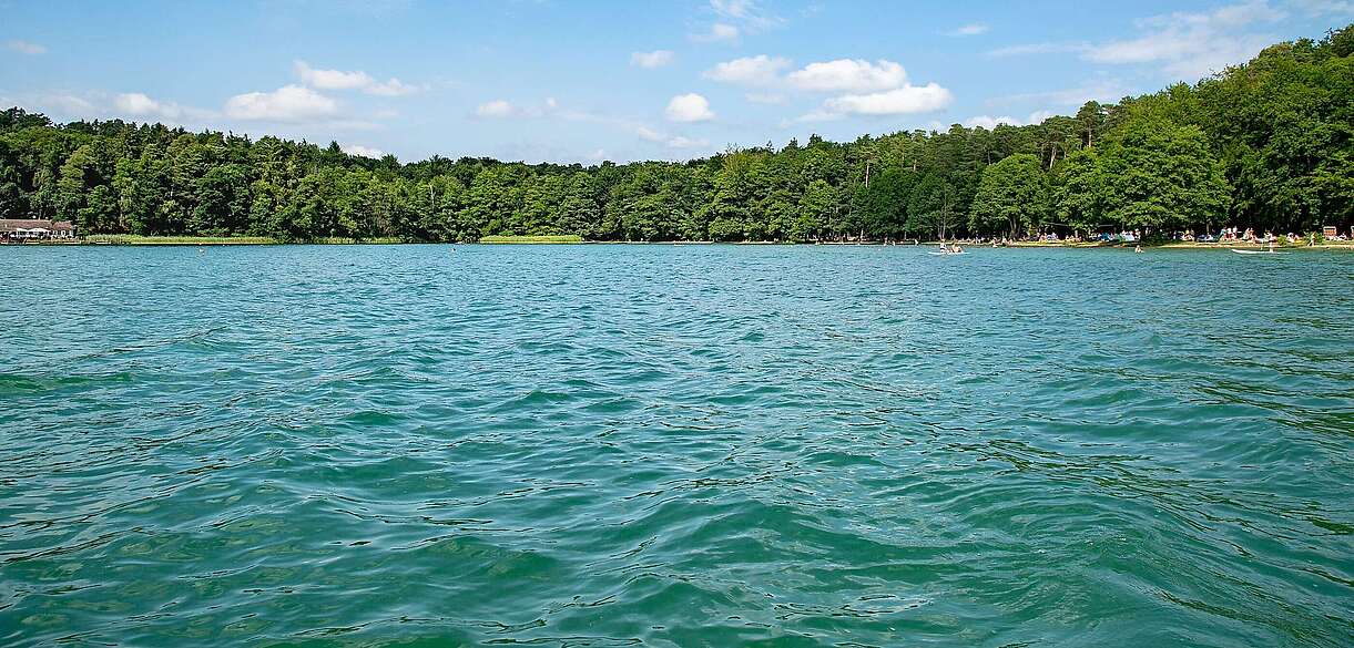 Blick auf den Stechlinsee