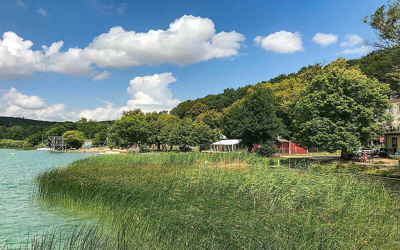 



    
        
                Strandbad Buckow,
            
        
                Foto: TMB Tourismus-Marketing Brandenburg GmbH/Steffen Lehmann
            
    

