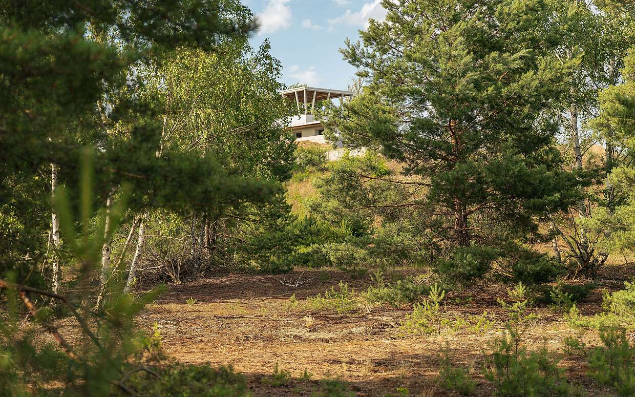 Naturwelt Lieberoser Heide