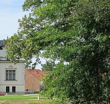 Das Rittergut in Uebigau begeistert mit Frühblühern