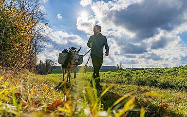 Eselwanderung im Fläming