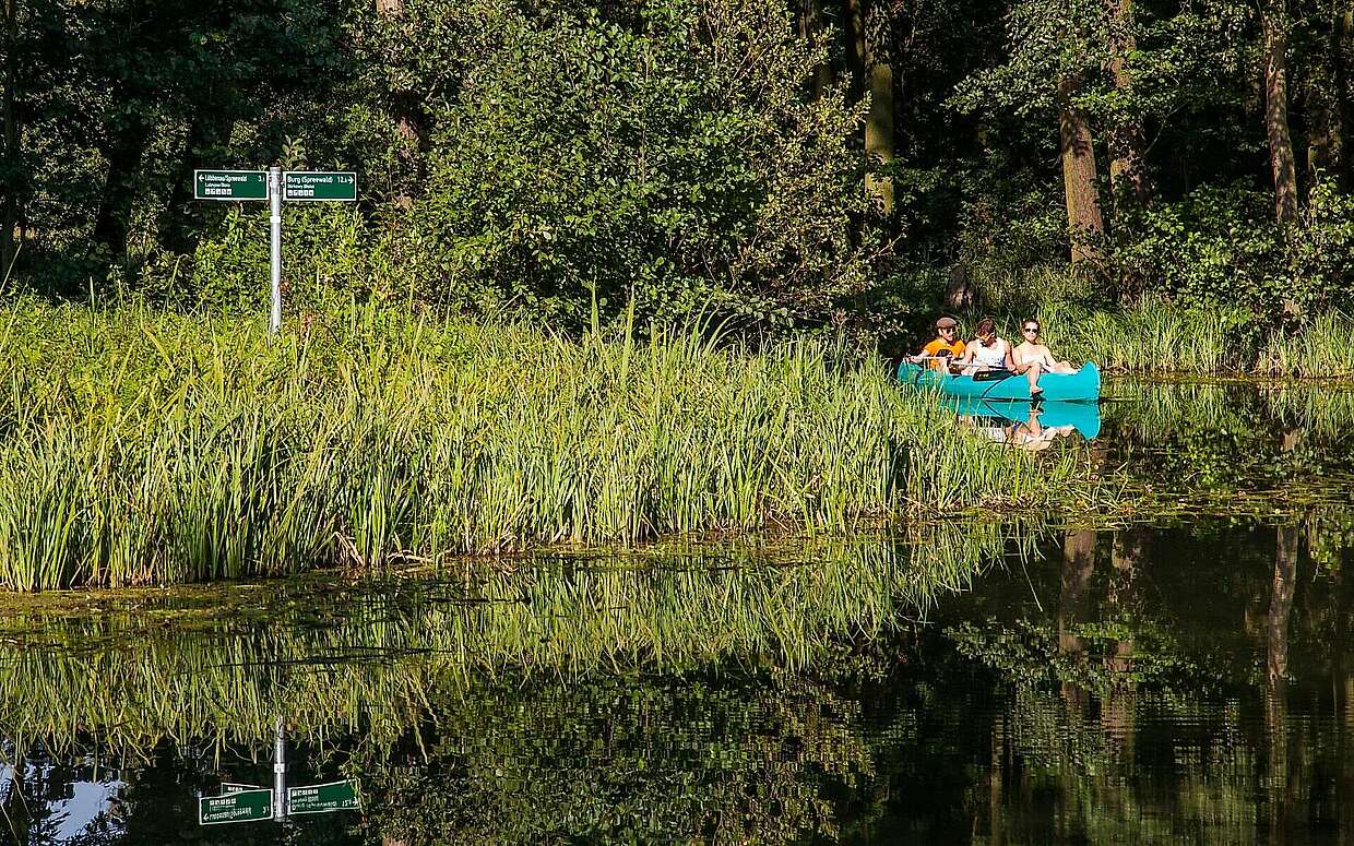 Kanutour im Spreewald