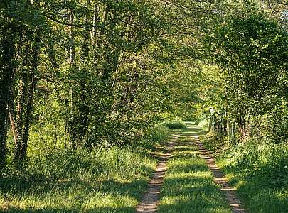 Naturlehrpfad in der Glashütte Baruth