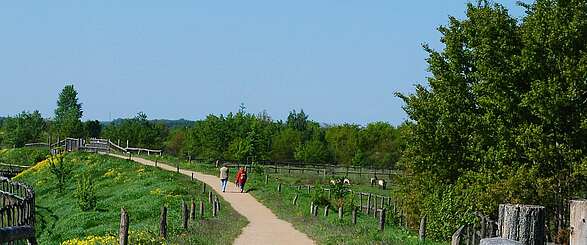Ausflug in die Döberitzer Heide
