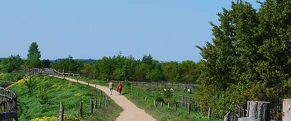 Wanderer auf dem Rundwanderweg durch die Döberitzer Heide