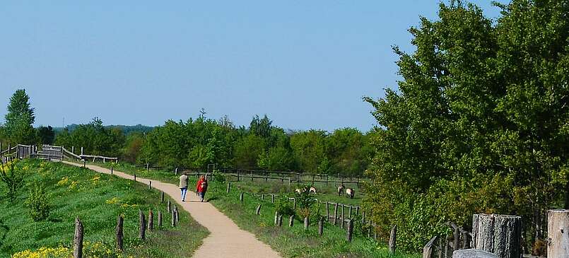 Ausflug in die Döberitzer Heide