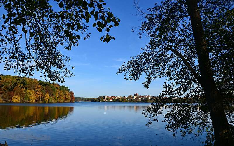



    
        
                Straussee mit Blick auf Strausberg,
            
        
                Foto: TMB Tourismus-Marketing Brandenburg GmbH/Matthias Schäfer
            
    
