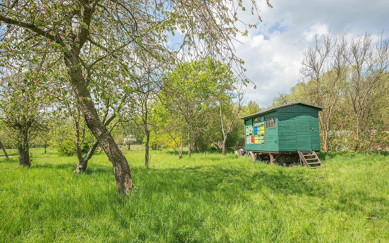 Streuobstwiese mit altem Bauwagen