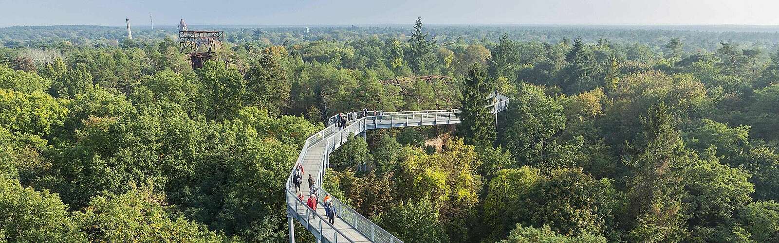 Baumkronenpfad Beelitz-Heilstätten,
            
        
                Foto: TMB Tourismus-Marketing Brandenburg GmbH/Steffen Lehmann