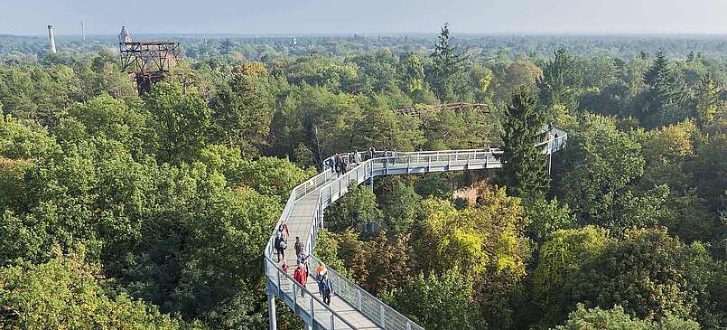 Baumkronenpfad Beelitz-Heilstätten