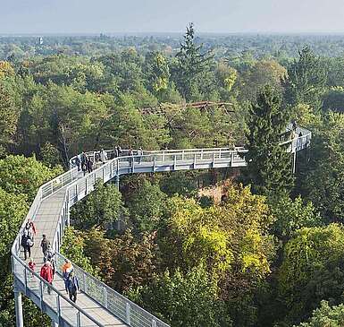 Baumkronenpfad Beelitz-Heilstätten