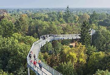 Baumkronenpfad Beelitz-Heilstätten