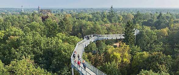 Baumkronenpfad Beelitz-Heilstätten