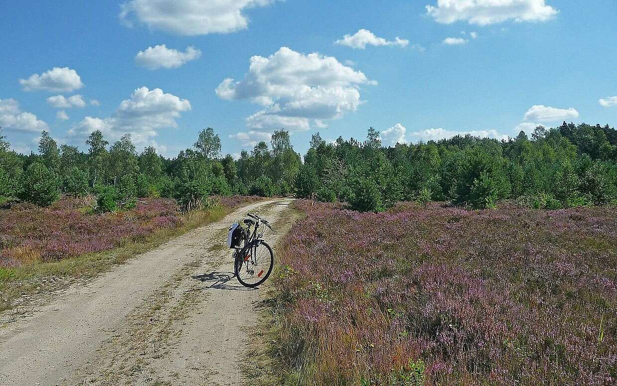 Pause von der Radtour im Naturpark Niederlausitzer Heidelandschaft