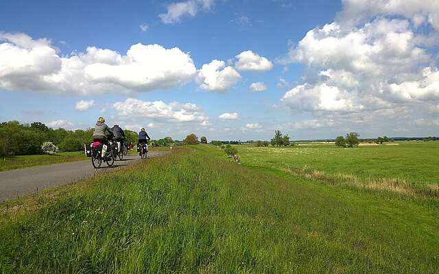Radfahrer auf dem Oder-Neiße-Radweg
