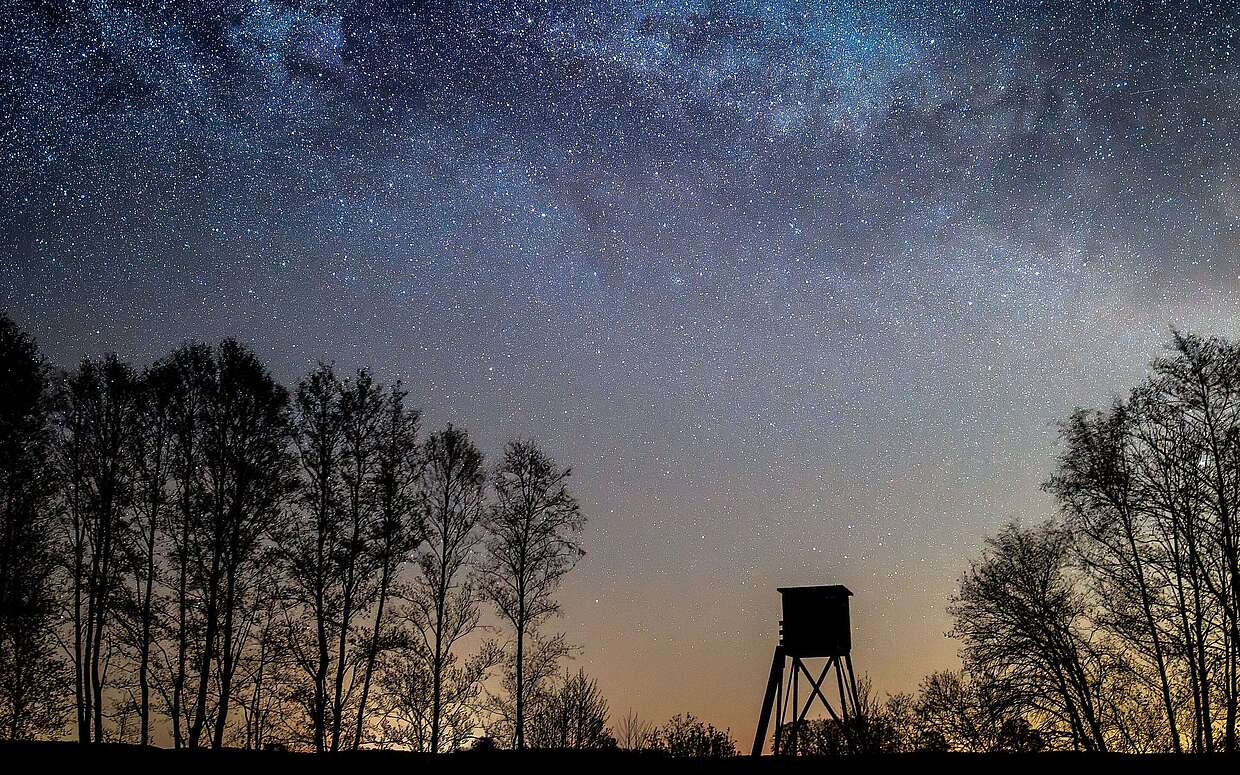 Sternennacht bei Hochstand