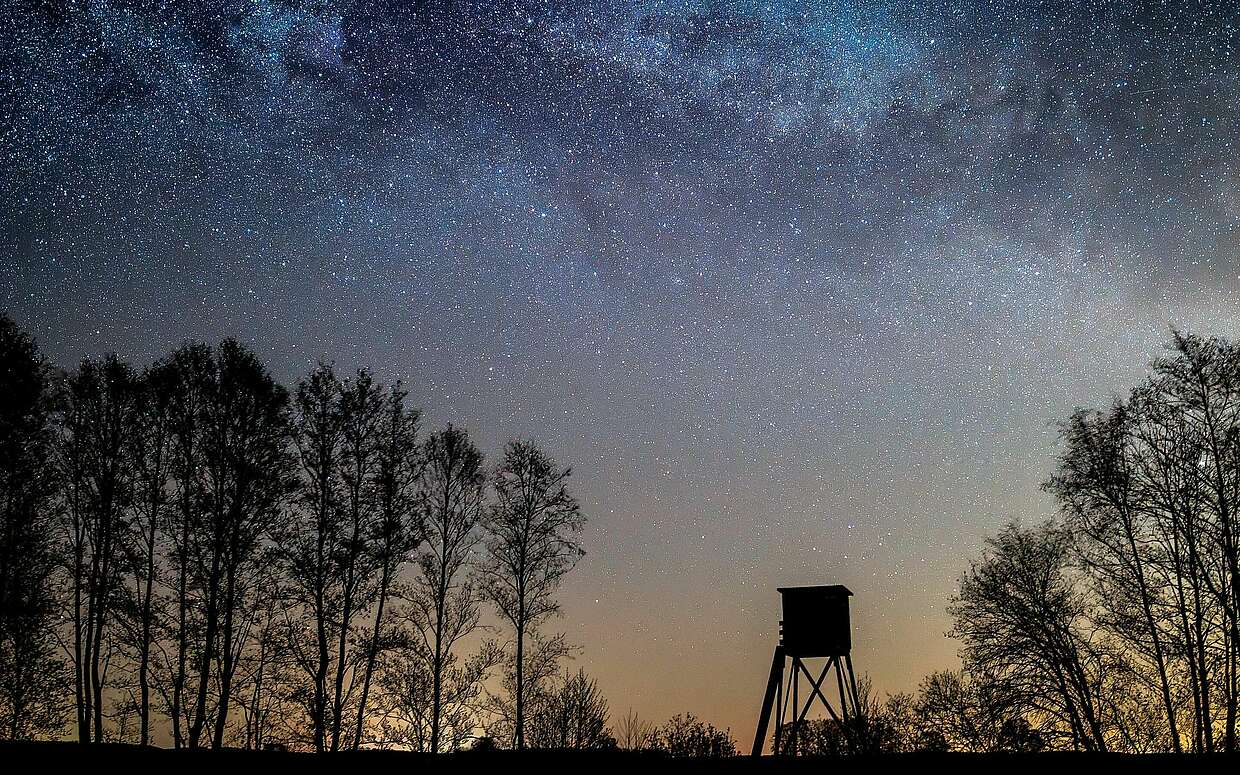 Sternennacht bei Hochstand