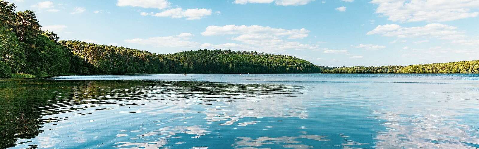 Blick auf den Springsee,
            
        
                Foto: TMB Tourismus-Marketing Brandenburg GmbH/Steffen Lehmann