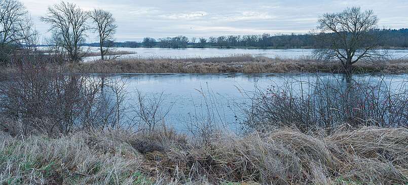 Wanderung durch die Auenwildnis