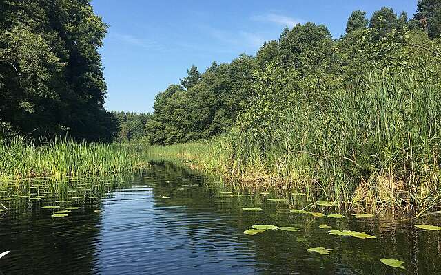 Naturpark Uckermärkische Seen