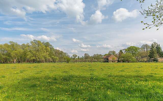 Wiesenlandschaft bei Burg im Spreewald