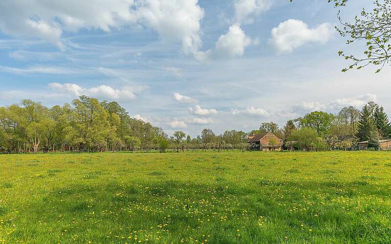 



    
        
                Wiesenlandschaft bei Burg im Spreewald,
            
        
                Foto: TMB Tourismus-Marketing Brandenburg GmbH/Steffen Lehmann
            
    
