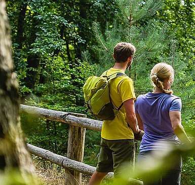 Wanderer im Naturpark Stechlin-Ruppiner Land
