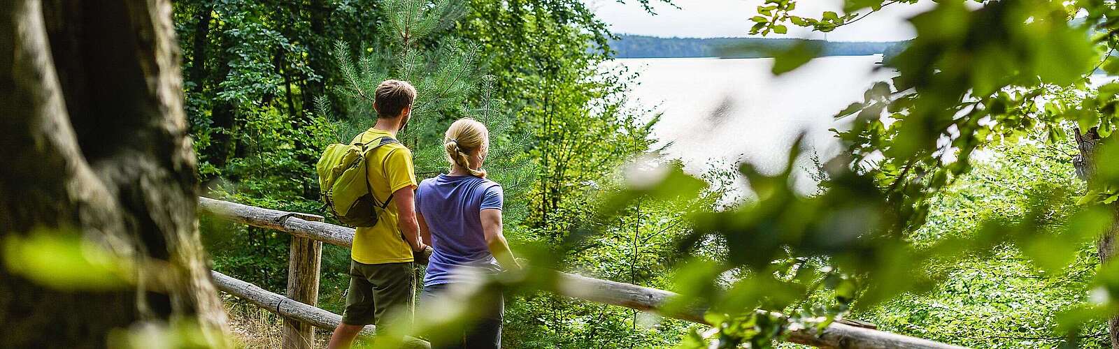 Wanderer im Naturpark Stechlin-Ruppiner Land