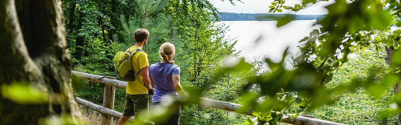 Wanderer im Naturpark Stechlin-Ruppiner Land,
            
        
                Foto: TMB Tourismus-Marketing Brandenburg GmbH/Wolfgang Ehn