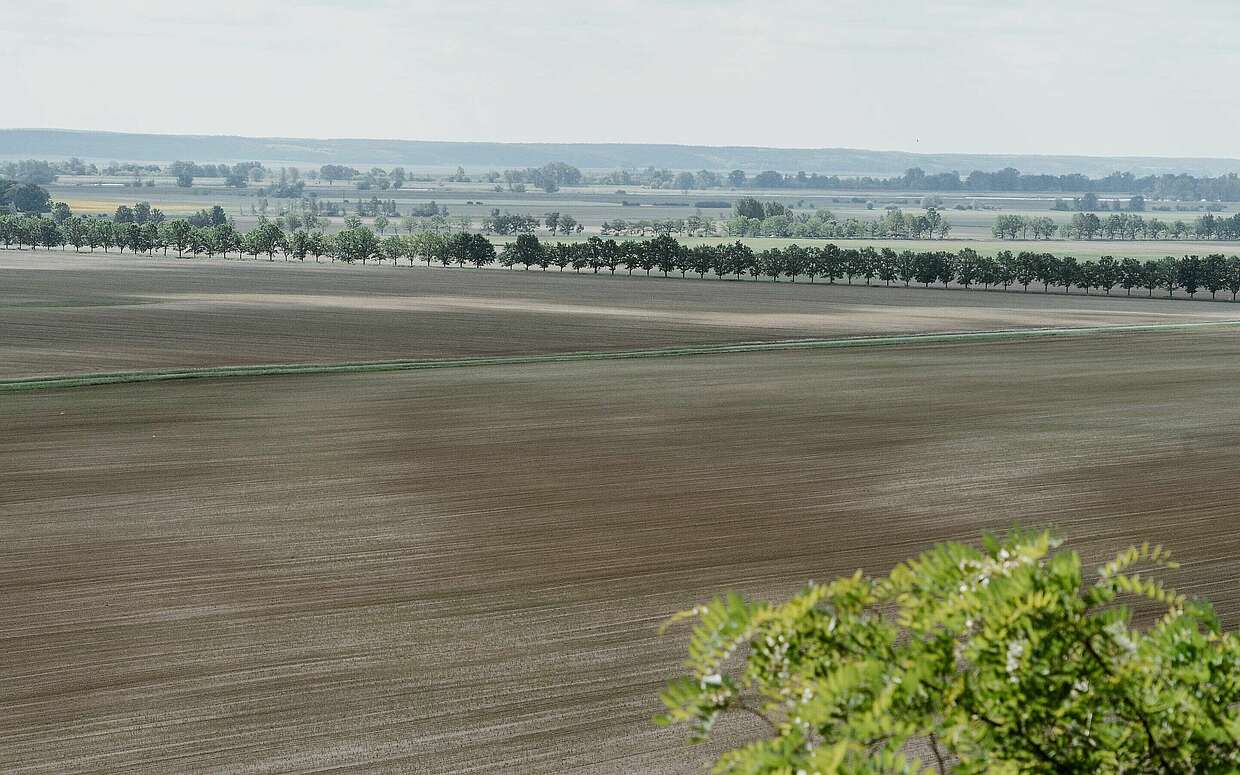 Blick vom Reitweiner Sporn ins Oderbruch