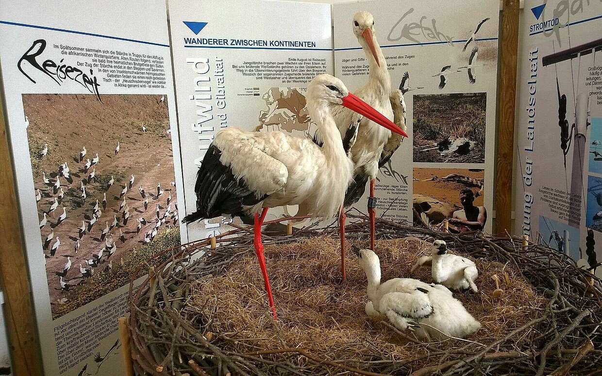 Ausstellung in der Storchenschmiede Linum
