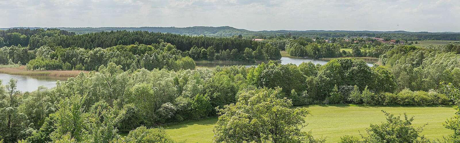 Schorfheide bei Brodowin,
            
        
                Foto: TMB Tourismus-Marketing Brandenburg GmbH/Steffen Lehmann