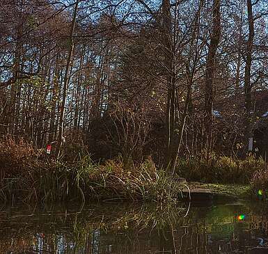 Spreewald im Herbst