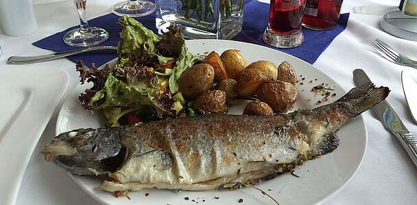 Fischgericht am Senftenberger See