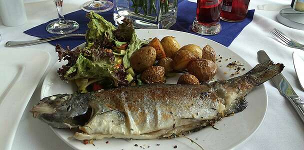 Fischgericht am Senftenberger See