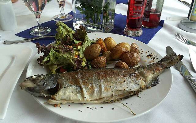 Fischgericht am Senftenberger See