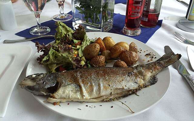 Fischgericht am Senftenberger See