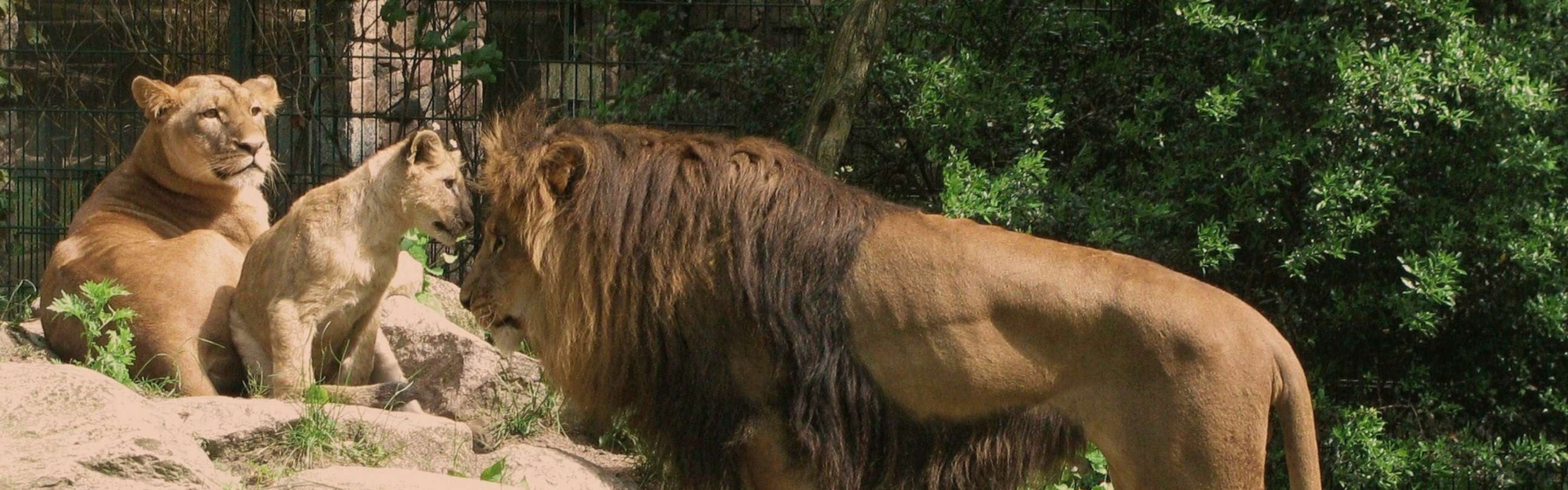 Zoos & Tierparks
